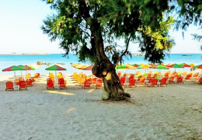 Ferienwohnung in Chania - Mare Civitas Tribus Ferienwohnung in Chania - Mare Civitas Tribus