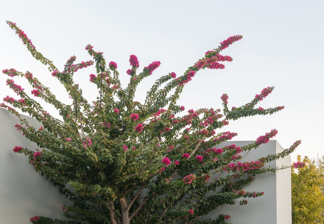 Villa in Agia Galini - Evgoro Ouranos Villa in Agia Galini - Evgoro Ouranos