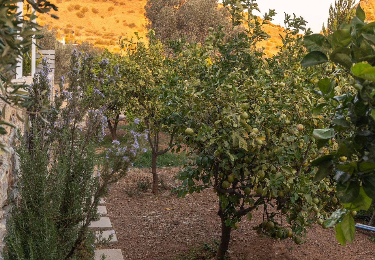 Villa in Agia Galini - Evgoro Vrahos Villa in Agia Galini - Evgoro Vrahos