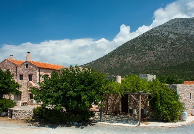 Studio in Pirgos - Toxotis 2 - Studio for 3 Studio in Pirgos - Toxotis 2 - Studio for 3