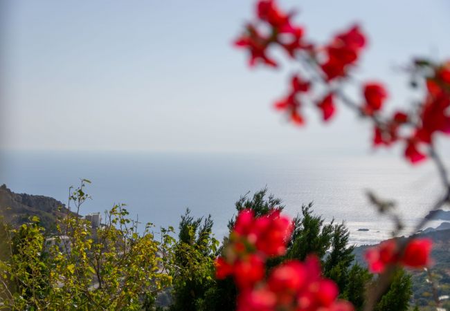 Villa in Sellia - Lodovico 3 Villa in Sellia - Lodovico 3