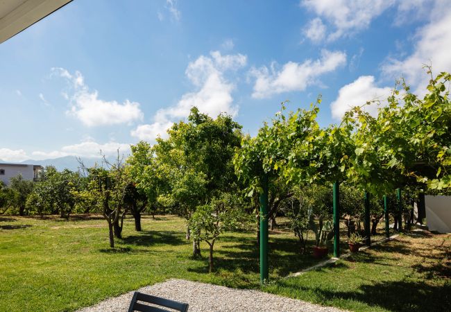 Villa in Rethymno - Angeliana Villa Villa in Rethymno - Angeliana Villa