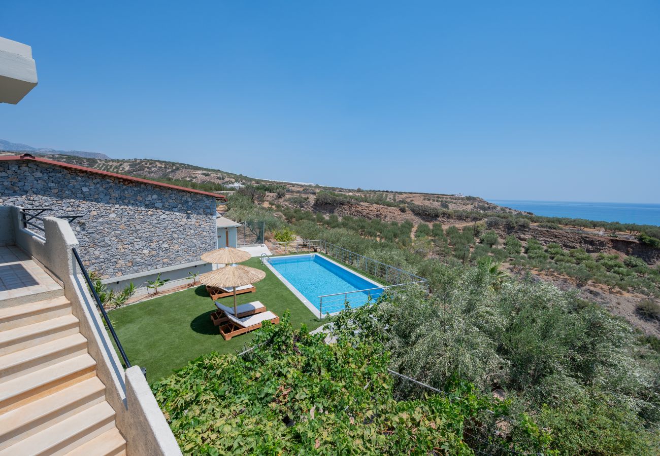 Gallery Apartment, bird's eye view of swimming pool Gallery Apartment, bird's eye view of swimming pool