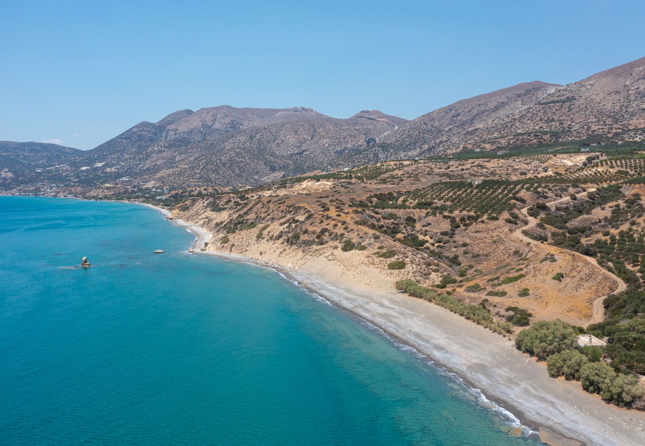 Gallery Apartment, bird's eye view of beach Gallery Apartment, bird's eye view of beach