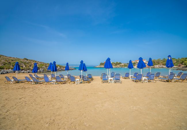Villa in Akrotiri - Villa Plumeria Flower Villa in Akrotiri - Villa Plumeria Flower