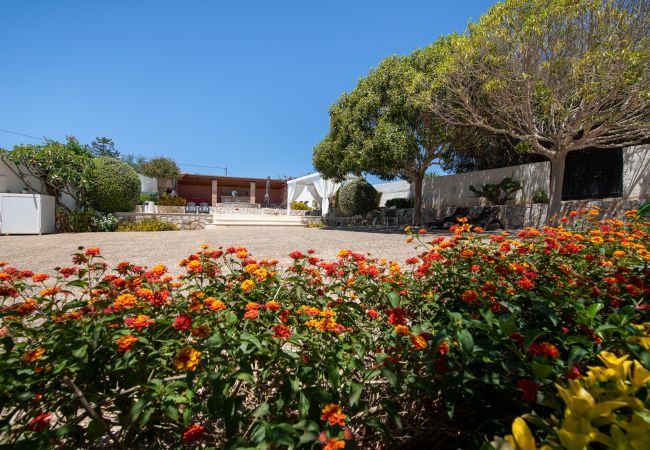 Villa in Akrotiri - Villa Plumeria Flower Villa in Akrotiri - Villa Plumeria Flower