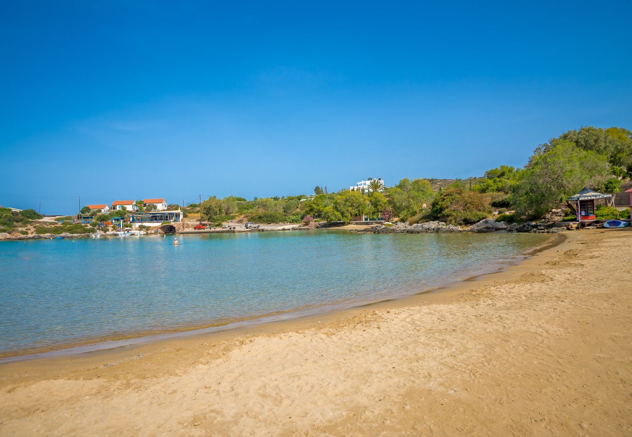 Villa in Akrotiri - Villa Plumeria Flower Villa in Akrotiri - Villa Plumeria Flower