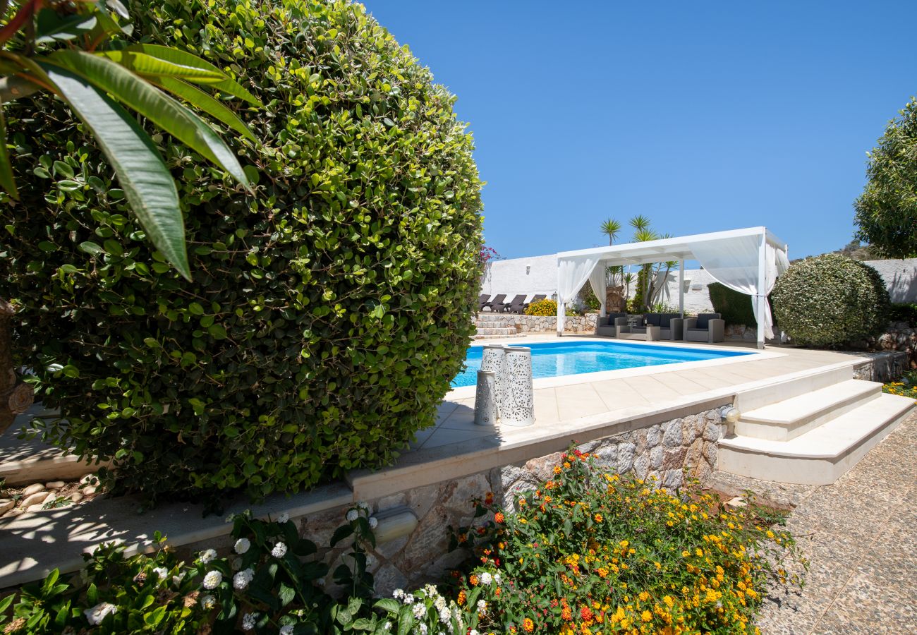 Villa in Akrotiri - Villa Plumeria Flower Villa in Akrotiri - Villa Plumeria Flower