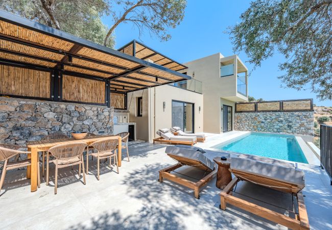 Villa in Plakias - Metatulia 8