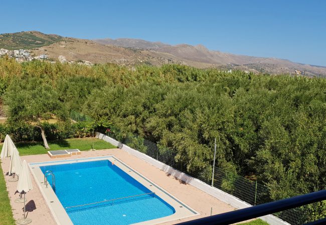 Villa in Walking distance to the beach, Near tavern, Chania, Crete Swimming pool area of the villa in Walking distance to the beach, Near tavern, Chania, Crete
