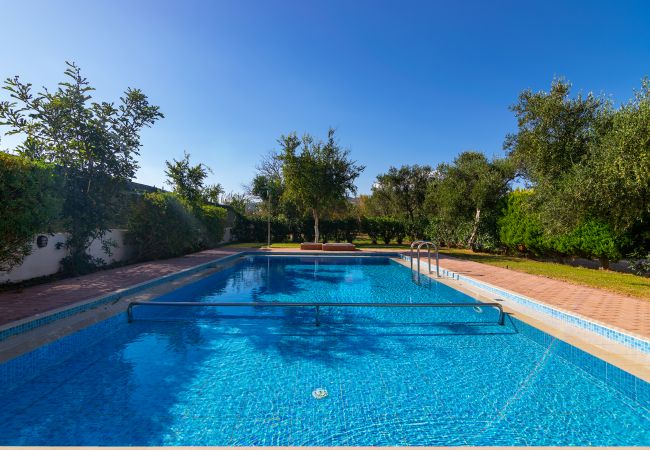 Villa in Walking distance to the beach, Near tavern, Chania, Crete Swimming pool area of the villa in Walking distance to the beach, Near tavern, Chania, Crete