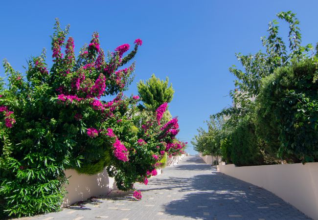 Villa in Walking distance to the beach, Near tavern, Chania, Crete Part of the villas complex of the villa in Walking distance to the beach, Near tavern, Chania, Crete