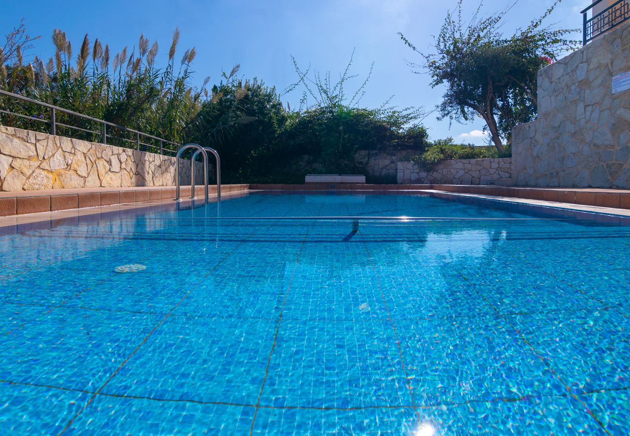 Villa in Walking distance to the beach, Near tavern, Chania, Crete Swimming pool area of the villa in Walking distance to the beach, Near tavern, Chania, Crete