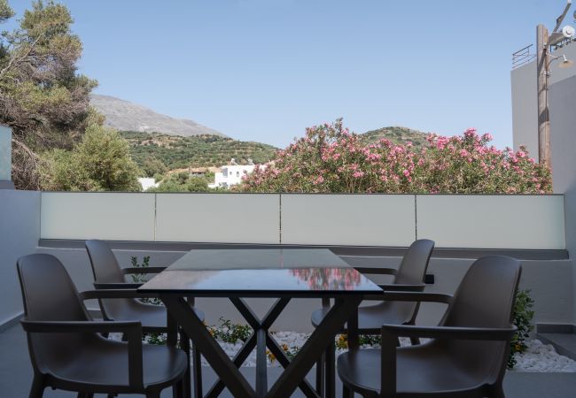 Apartment in Plakias - Secret Nest 16 Apartment in Plakias - Secret Nest 16