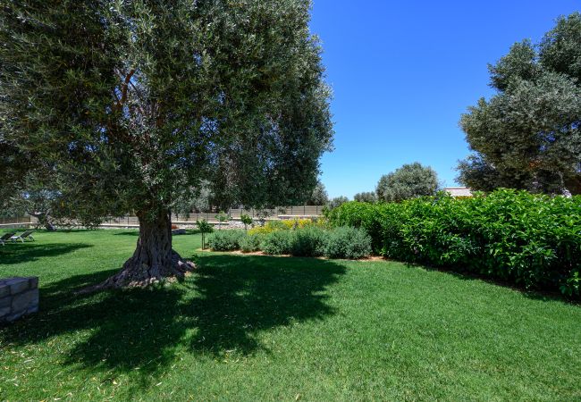 Villa in Prinos - Thyme Villa in Prinos - Thyme