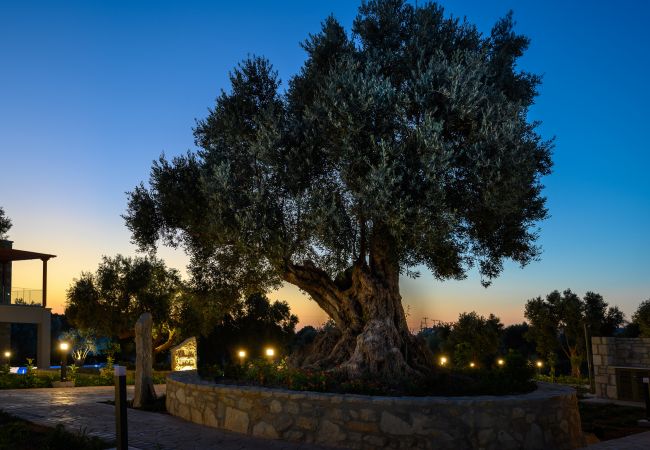 Villa in Prinos - Rosemary Villa in Prinos - Rosemary