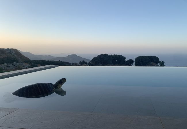 Villa in Sellia - Kaleidoskopio Villa in Sellia - Kaleidoskopio