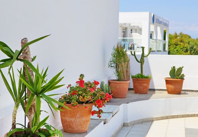 Kalimera apt,Near beach,Tavern,Supermarket,Rethymno Kalimera apt,Near beach,Tavern,Supermarket,Rethymno