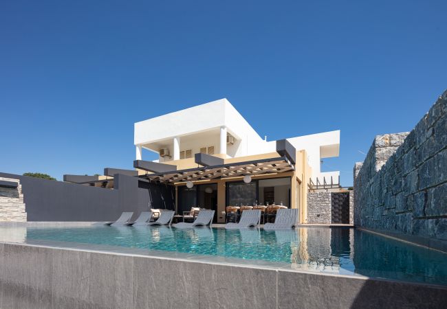 Villa in Agouseliana - Oasis Serenity Villa in Agouseliana - Oasis Serenity