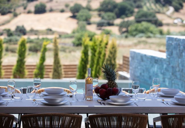 Villa in Agouseliana - Oasis Serenity Villa in Agouseliana - Oasis Serenity