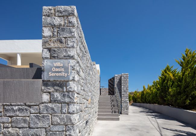Villa in Agouseliana - Oasis Serenity Villa in Agouseliana - Oasis Serenity