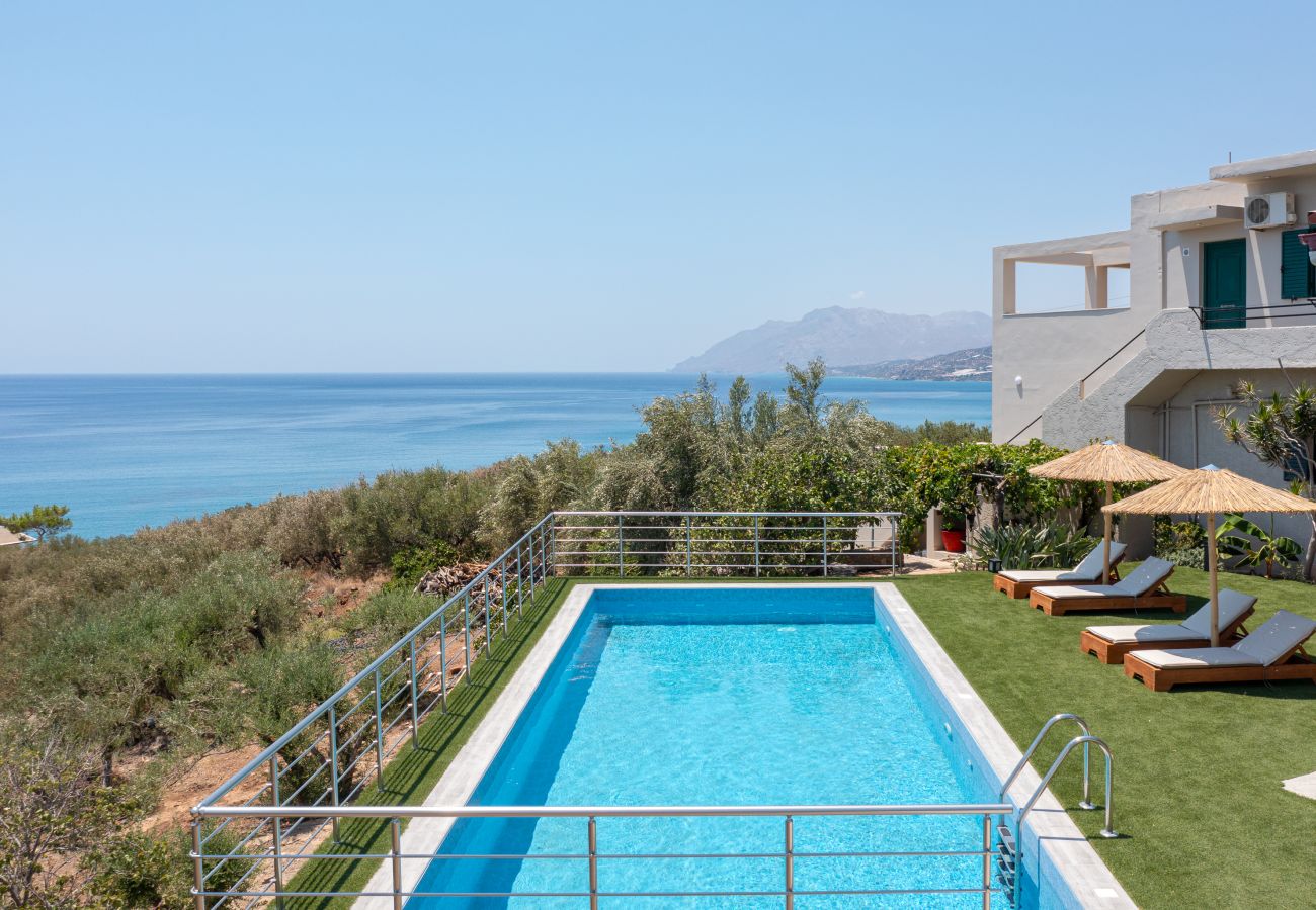 Gallery Home,bird's eye view of swimming pool Gallery Home,bird's eye view of swimming pool