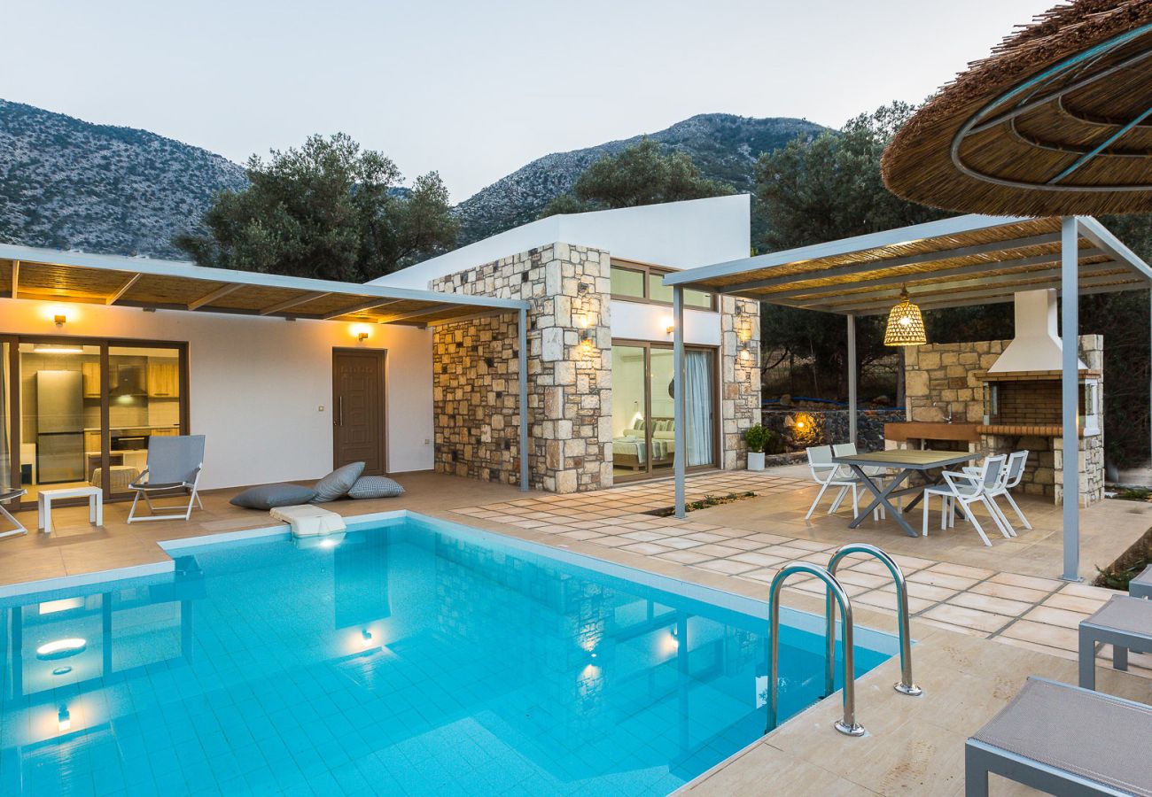 Villa in Bali - Lemoni Villa