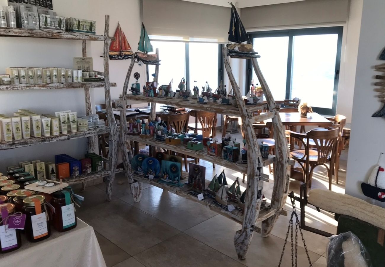 Villa in Kato Gouves - Aphrodite beachfront villa-on the Waves Villa in Kato Gouves - Aphrodite beachfront villa-on the Waves