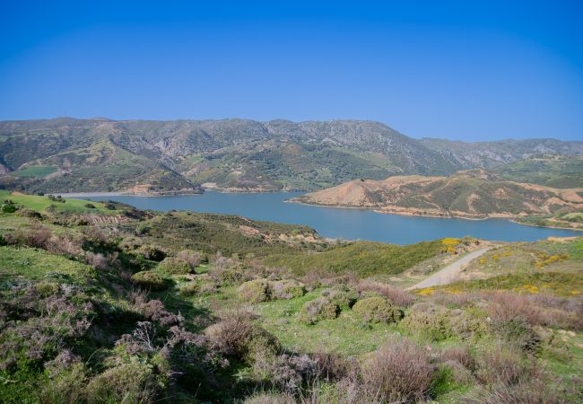 Villa in Amari - Evergreen Villa in Amari - Evergreen