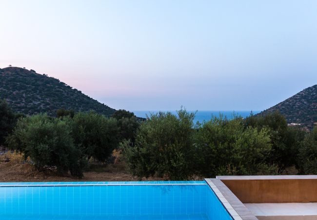 Villa in Bali - Sugar Premium Villa Villa in Bali - Sugar Premium Villa