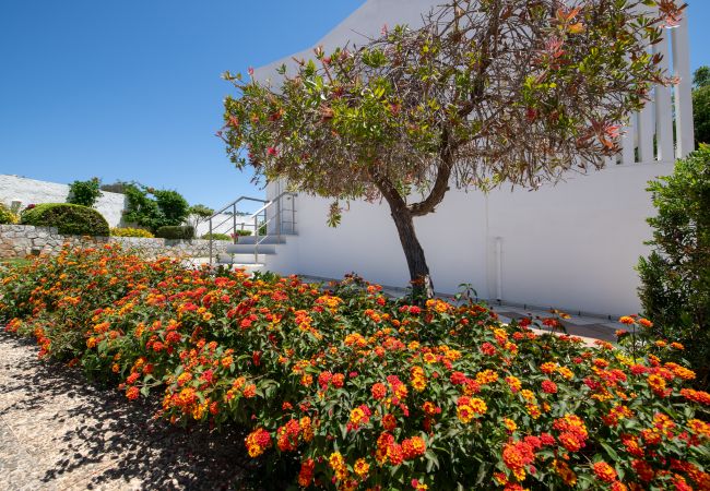 Villa in Akrotiri - Villa Plumeria Flower Villa in Akrotiri - Villa Plumeria Flower