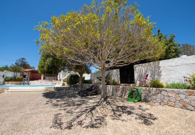 Villa in Akrotiri - Villa Plumeria Flower Villa in Akrotiri - Villa Plumeria Flower