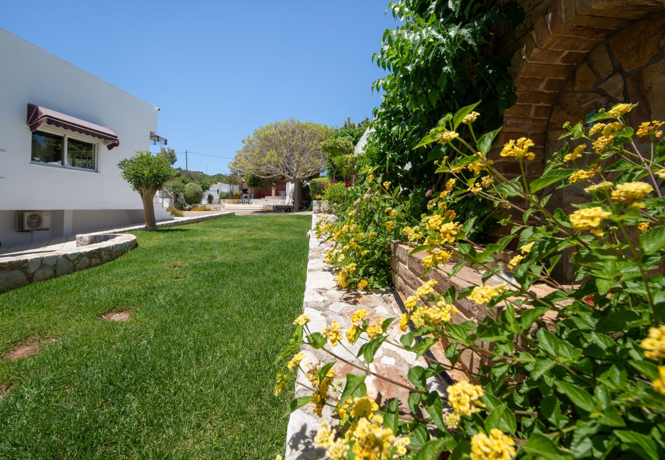 Villa in Akrotiri - Villa Plumeria Flower Villa in Akrotiri - Villa Plumeria Flower