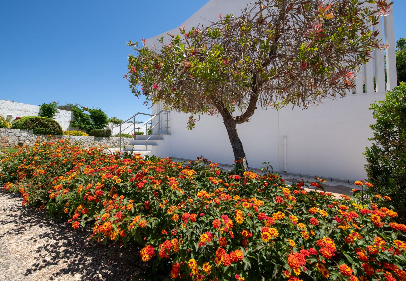 Villa in Akrotiri - Villa Plumeria Flower Villa in Akrotiri - Villa Plumeria Flower