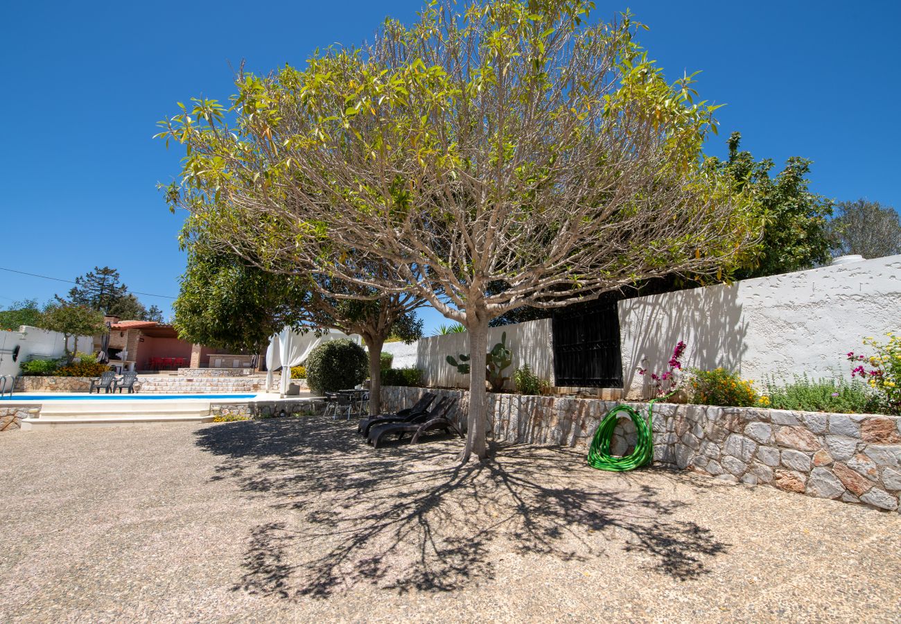 Villa in Akrotiri - Villa Plumeria Flower Villa in Akrotiri - Villa Plumeria Flower